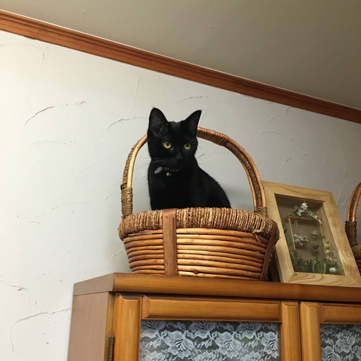 933f2acc b1b7 4980 b177 d15421ebd7d0