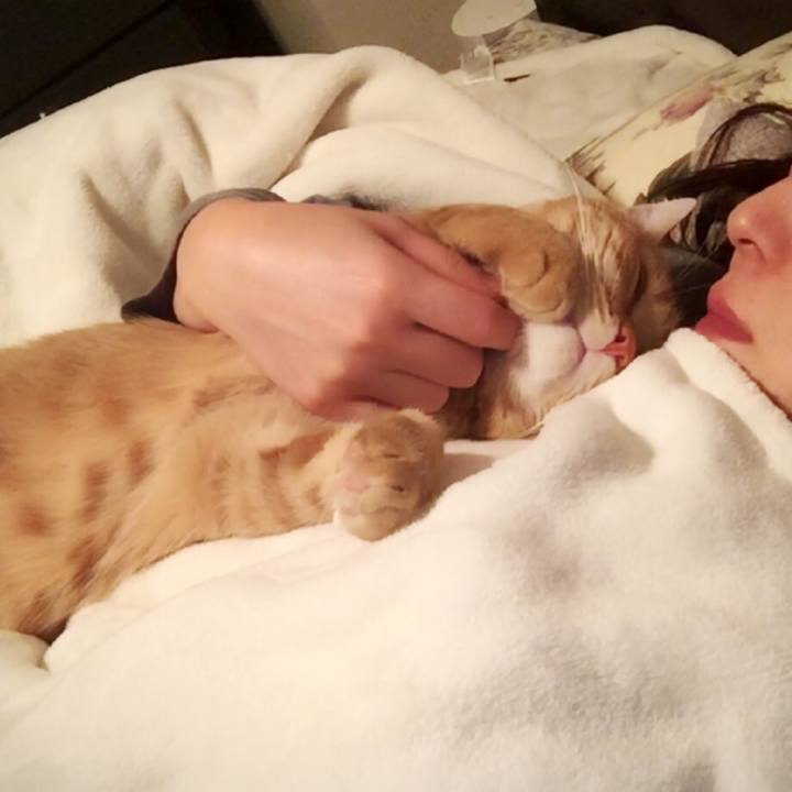 933fe610 fe08 4a09 82bf 8bf8693a8c7c