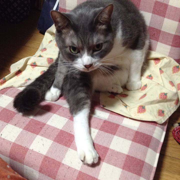 9340908c 98b3 46a8 ae18 5b8a728ca54c