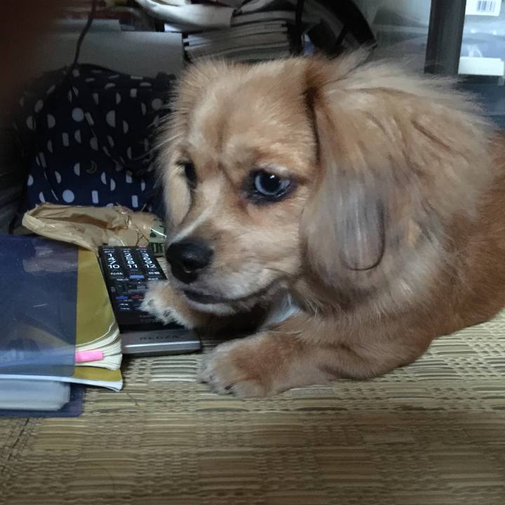 9340f147 2819 4702 8dc2 20c3fe342899