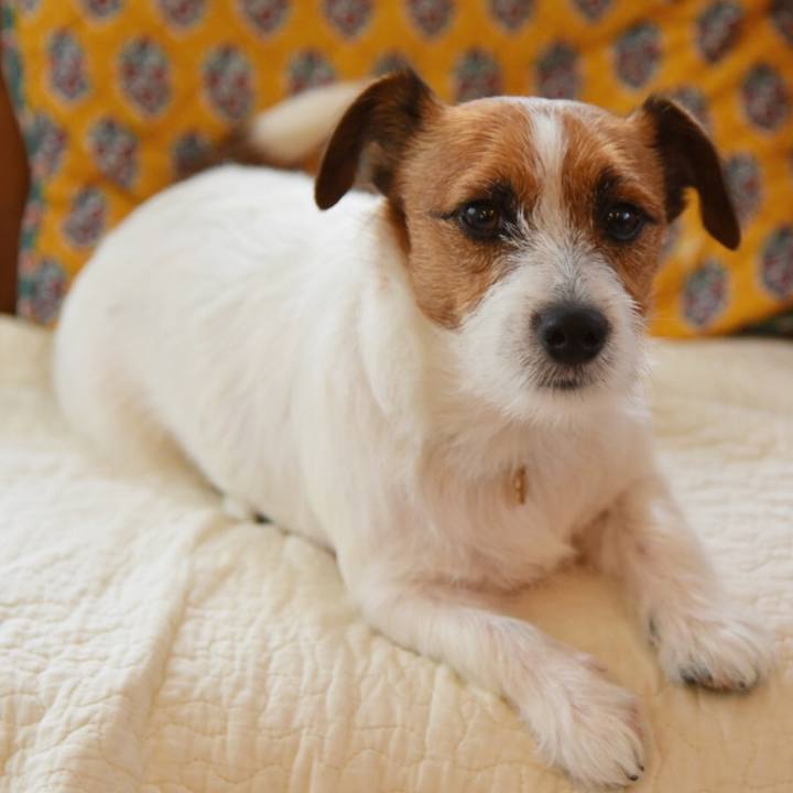 934133d5 c375 4580 b427 c7e45063a160