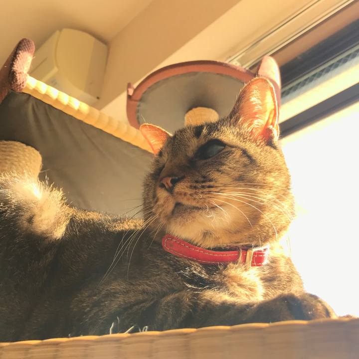 93419591 f372 451a 8650 26eb875f970f