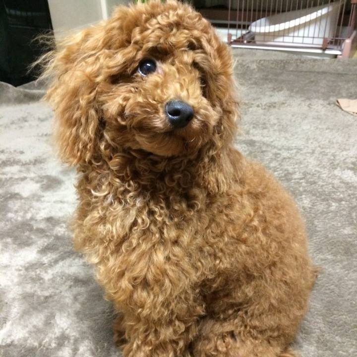 9341b66e f93e 474b 9aeb 4968c23e13d4