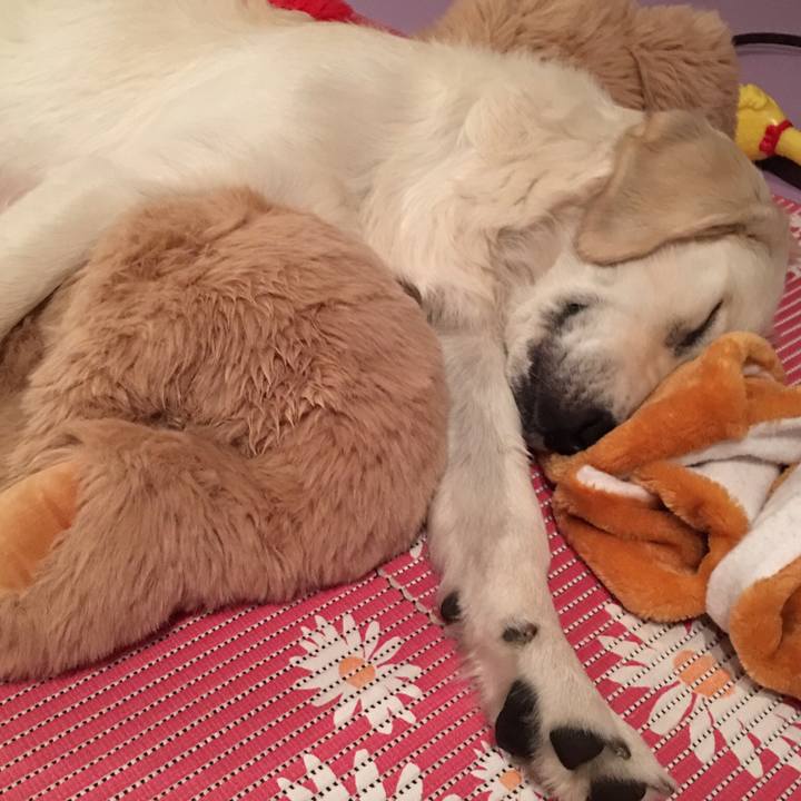 9341e2fd 7b38 4ff9 9776 83ced60507d5