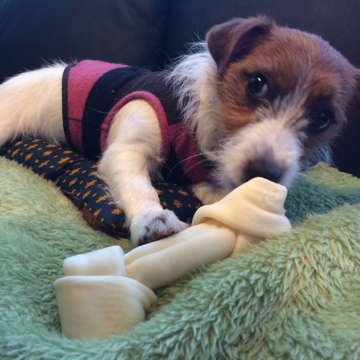 93429ab2 62c6 4b7d 91a2 da6ed7c13beb