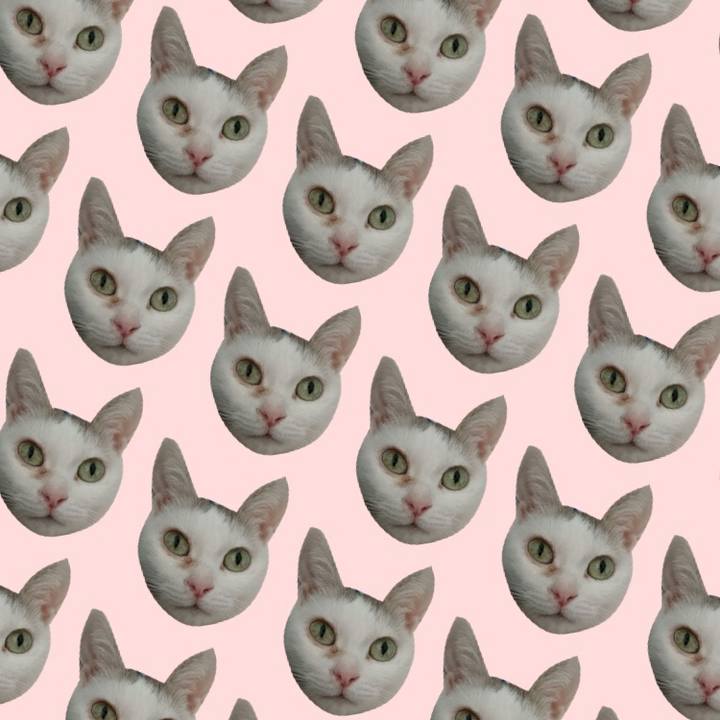 93429ecd d007 4cf0 bf3d 63b738c2b392