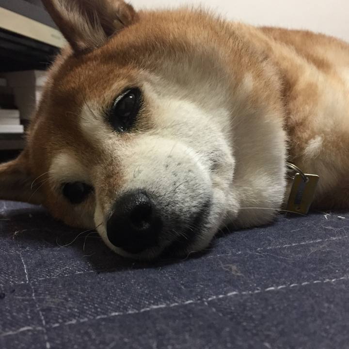 9342e856 4ad1 4709 9e96 edf5ce33eae2