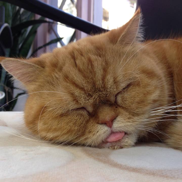 9343079e 9501 46ab 99ad 0bc24acca82c