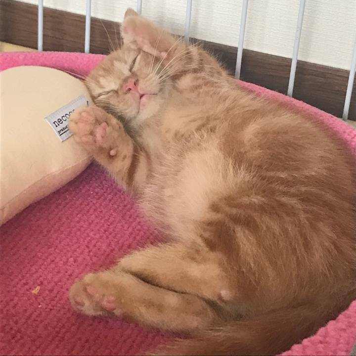 93437a23 9312 41b6 baf6 119f34721569