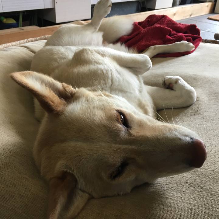 934462cd 7a00 459a 9aa8 c7307add316f