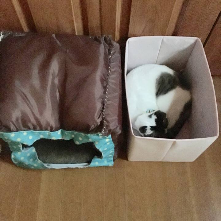 934466eb 27db 4cf7 8b50 13d10382f1c4