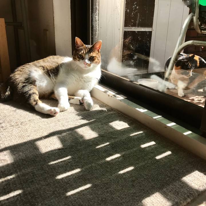 9344b6dc 3f00 4136 a1d6 051c88df1171