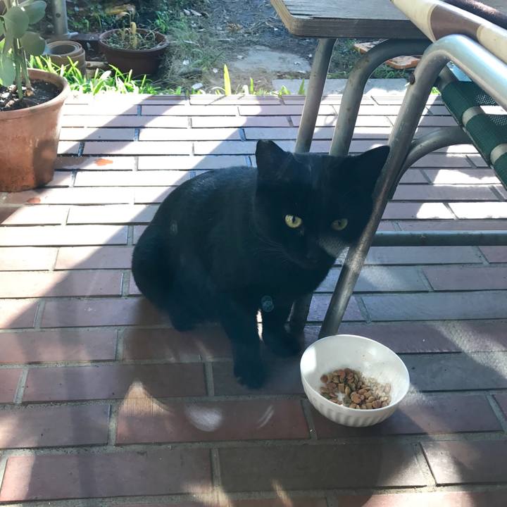 93451b37 33ec 444b 9a8a ae71fddb3a4d