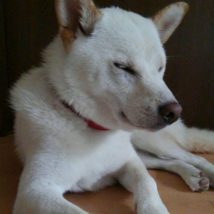 934528b5 00df 4ab0 9ad4 b6a591b04966