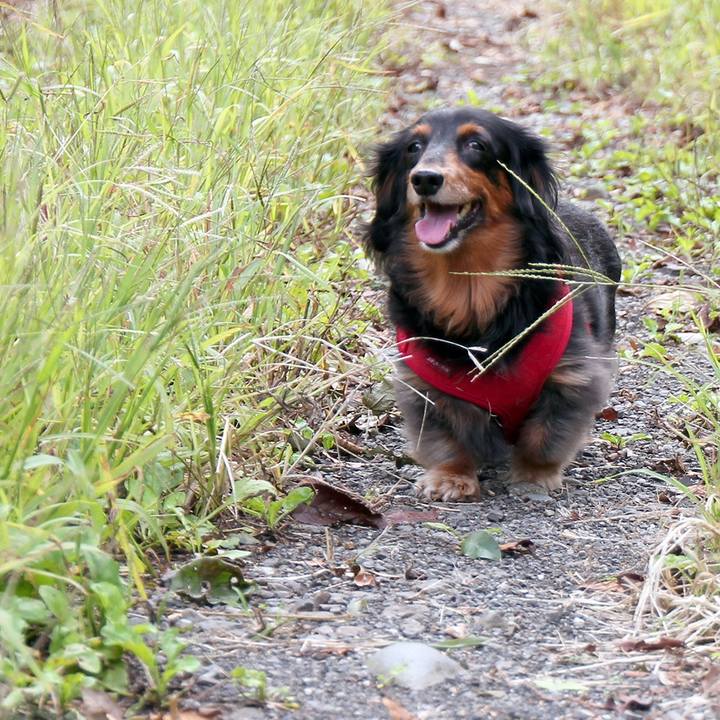 93464c2d 51cb 453d bd9b d46da7dbe179