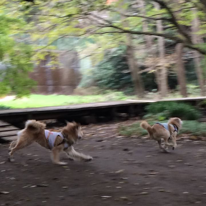 93468560 9412 4a20 b463 4dc9fec4f67a