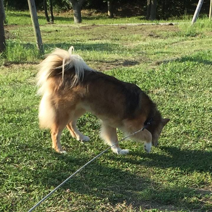 9346cd0f b5b0 4e47 a1a2 30b4fd101352