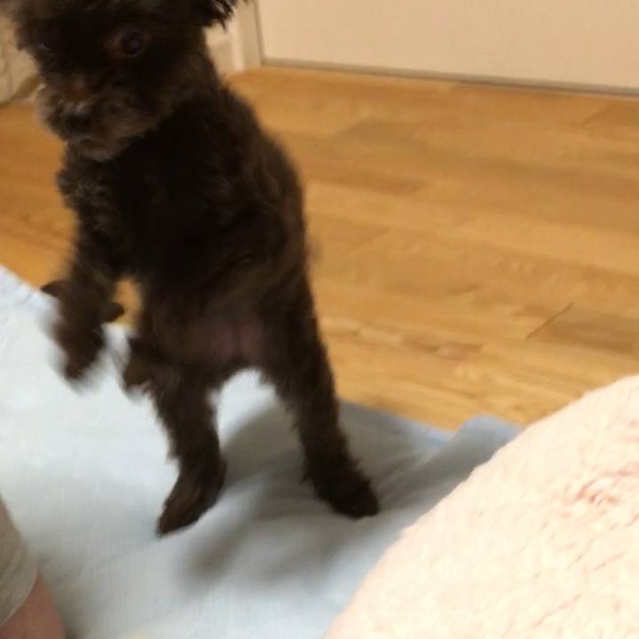 93474c20 5407 493c 96b9 bb894773c950