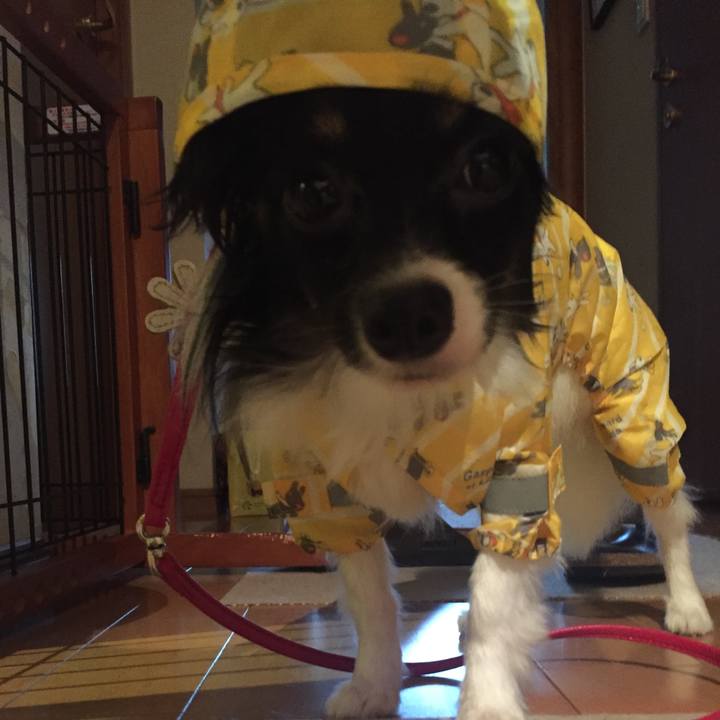 9347ac83 64f3 4f4f a228 ef52cd1e0d6a