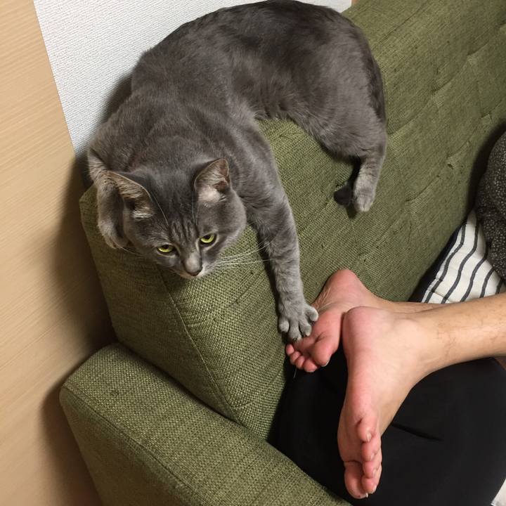 9347bf3b 952e 44a1 8cf3 ff0647046d10