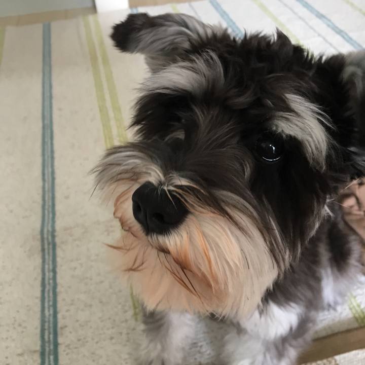 93483c52 e8c4 49e9 903c f87fad883be4