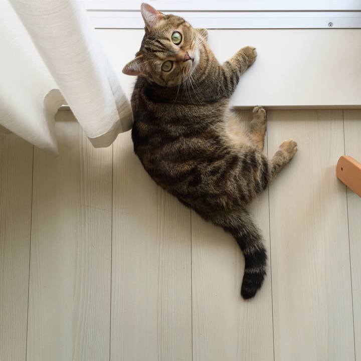 934873c8 e18a 48ac 80d7 cdcc88160364