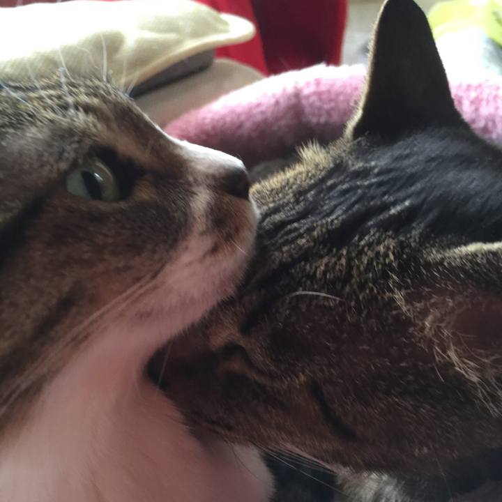 93487af2 2e10 4dc4 bd38 fbf62584c0ca