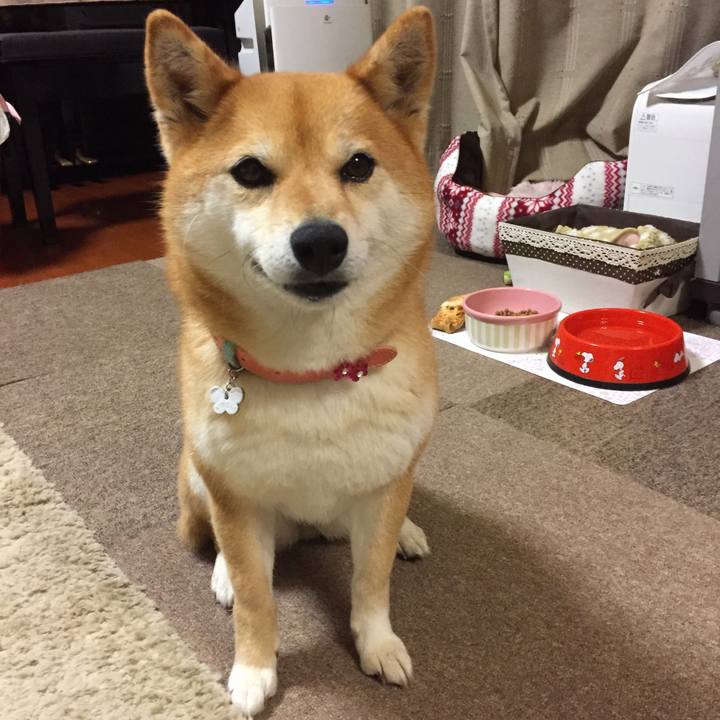 93490523 fd46 446a bd90 0b146ff56012