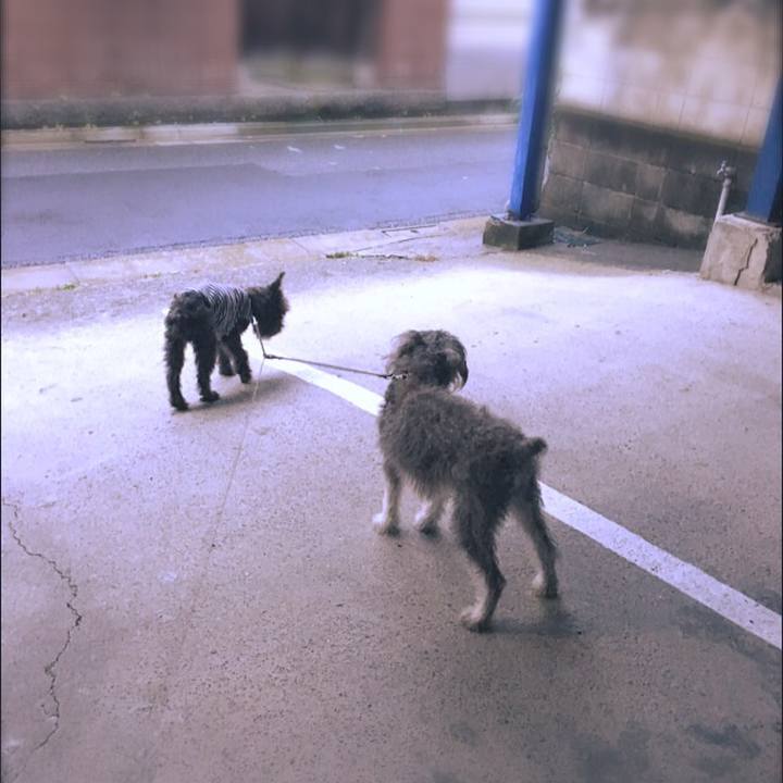 9349e285 cd1f 45cc b750 ff1a31aec858