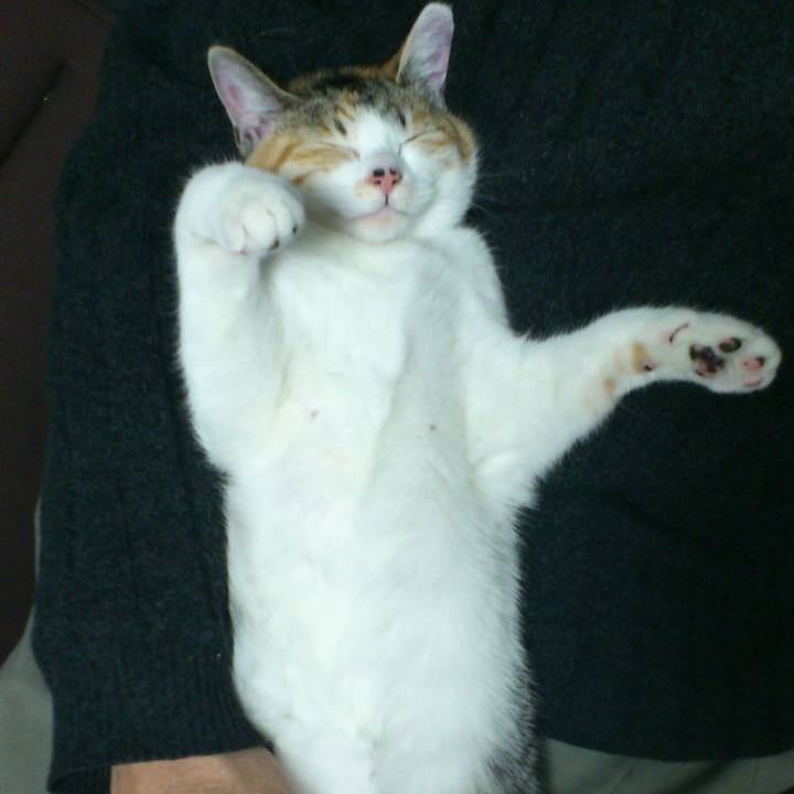 934a169e 9225 43c9 bddc ada1a13cce92