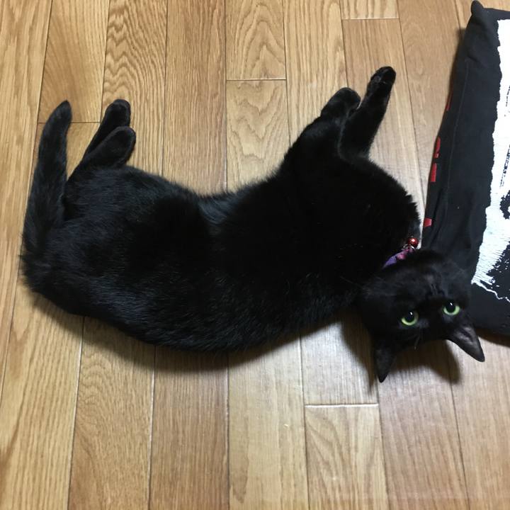 934a3926 840e 4a0c b342 829e011eb4a6