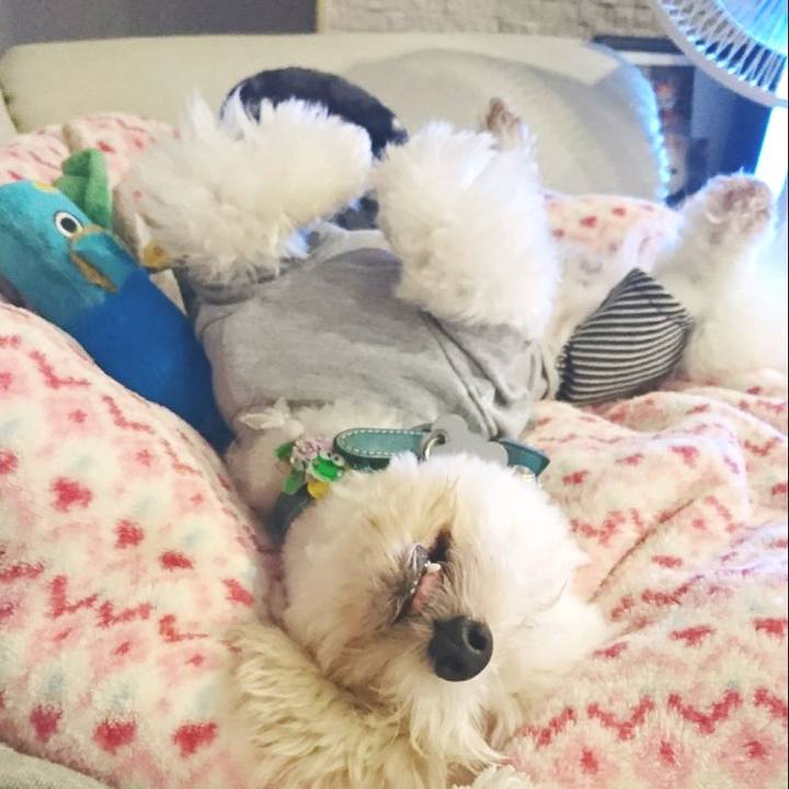 934a4403 3b52 4d59 81b9 3447c34d880c