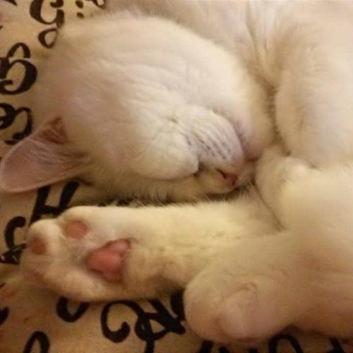 934adfed 977f 45f4 9baa 832b6cd07a19