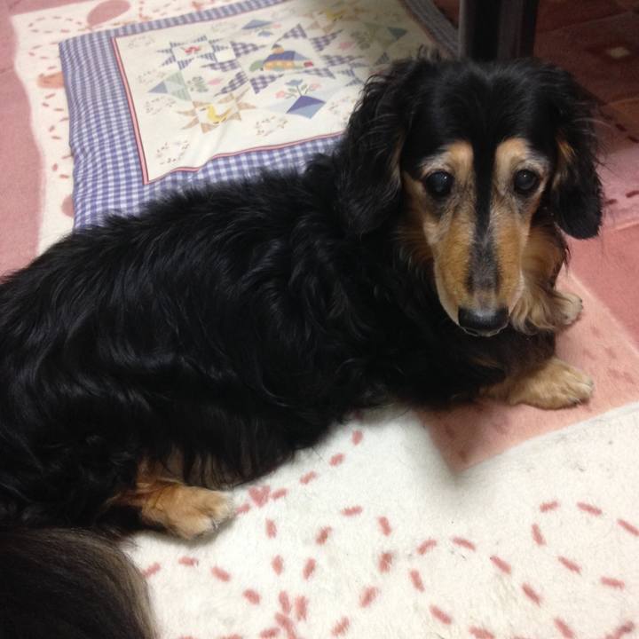 934b17f8 f0f9 4709 9aa9 1c8d080b674d