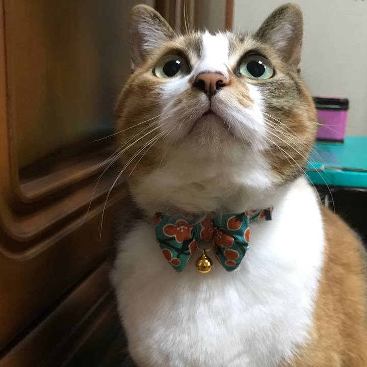 934c2259 9a48 493f 9932 7b13231bc1b0