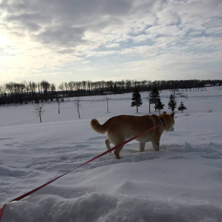 934c8d9f 3b4e 469a 8b93 3e9b9c045289