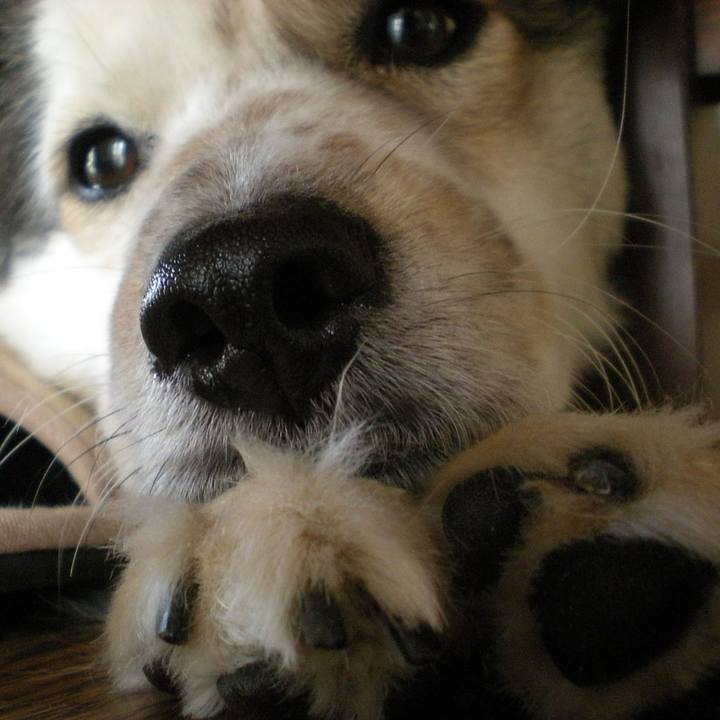 934c97d8 299a 425d abff dbeb34060e8f