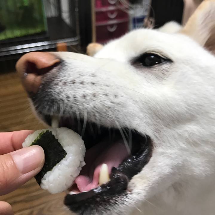 934cb13f f93f 4bbe b48a 27f64319f09c