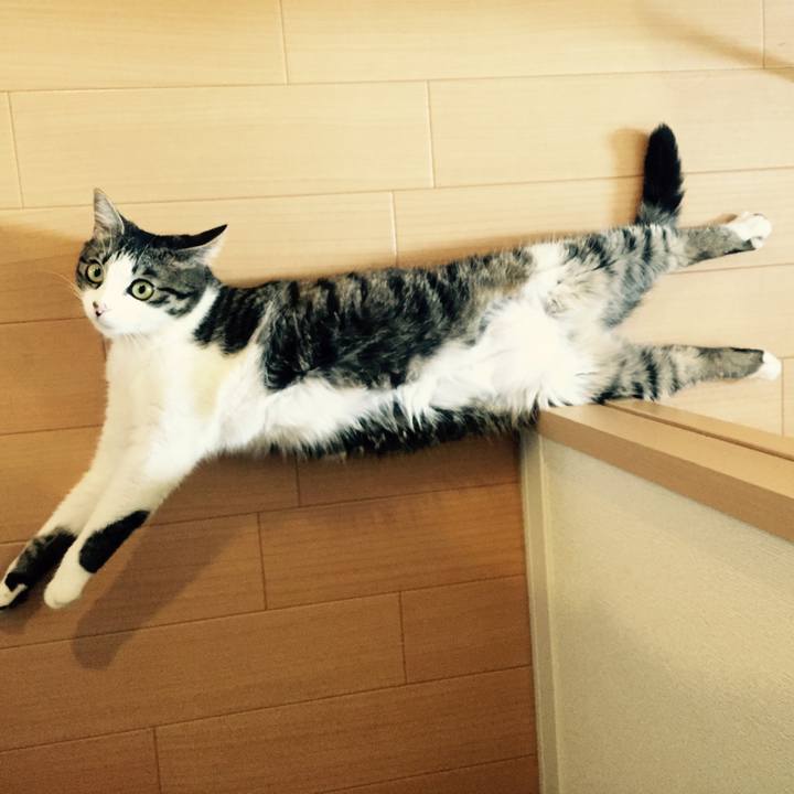 934cbc57 fdf2 4d5c b0db da9716948d2f