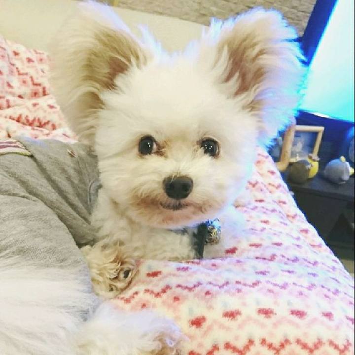 934d2950 7844 456e bf93 bb1ef79e20e9