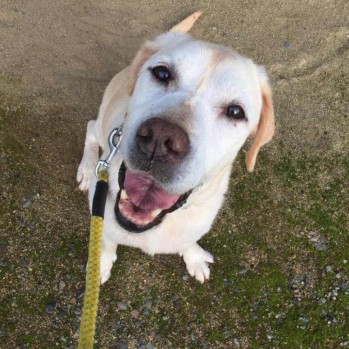 934d8e5a 0d7b 4538 a699 3f9e3dc2764d