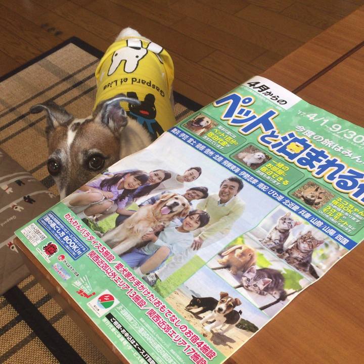 934f3d36 5659 4ccd a3d6 f700a211ceda