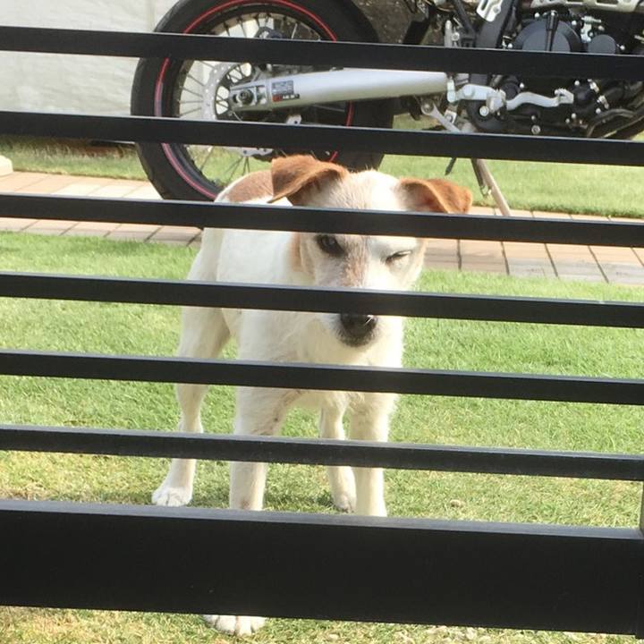 9351e126 606a 4737 881d ea3f48d65114