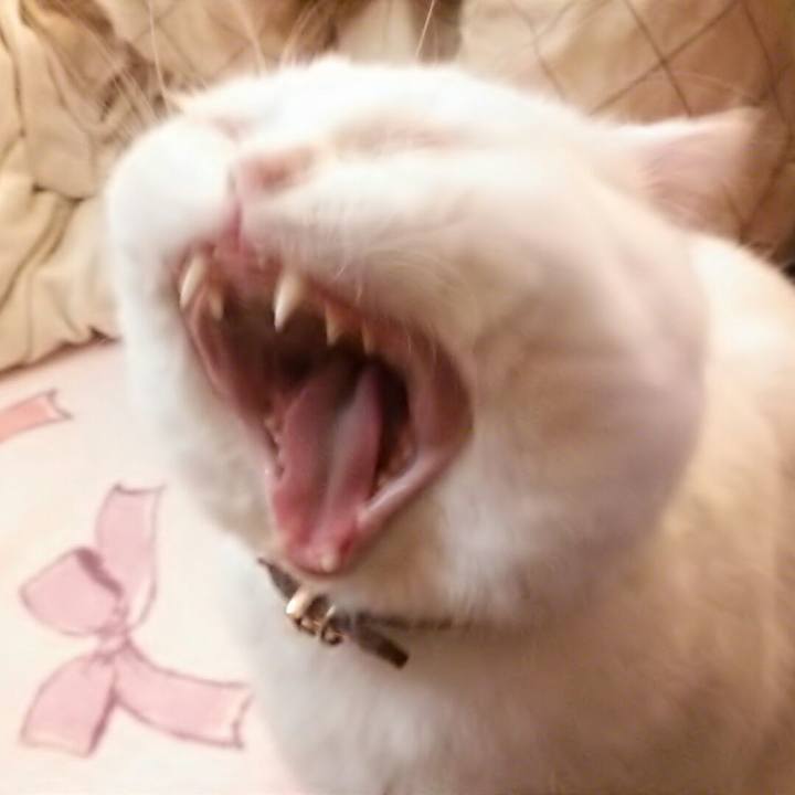 935316b4 3d4a 4386 9131 42f0e5c56405