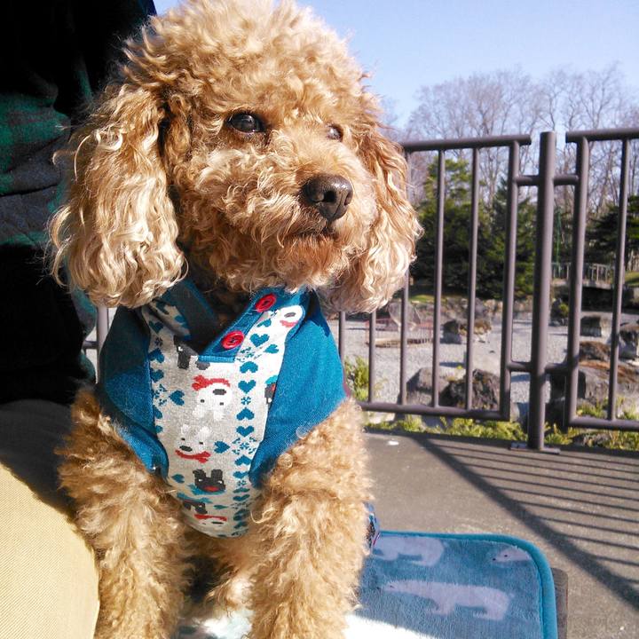 93545271 bc52 4c30 b966 f42bbf415661