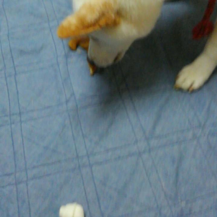 9354c1ea 40a3 494d b7c7 dc81148b7078