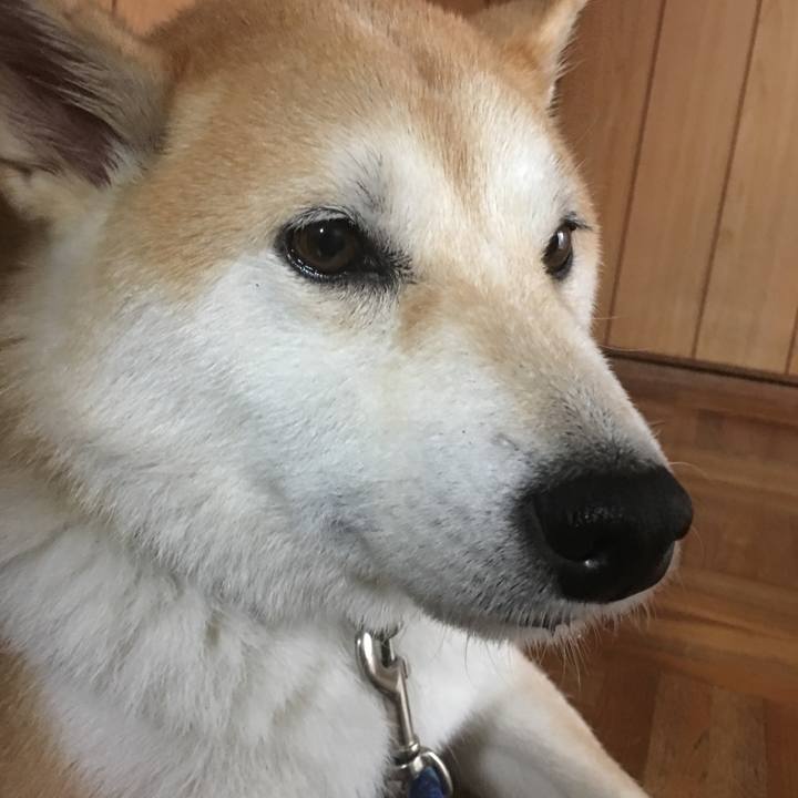 9354cb06 3b06 47d0 b424 23e7653c4a46