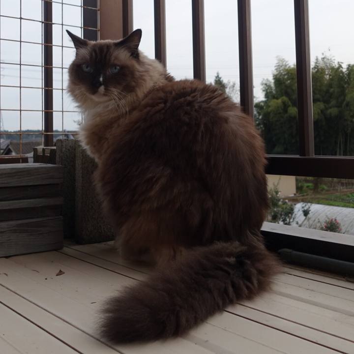 935601ad d9b1 4aca 9961 1192c9bfff94