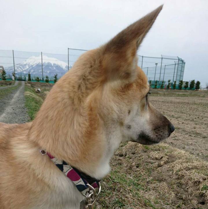 935618ed 8024 4eeb b66c f6071b40b0b6