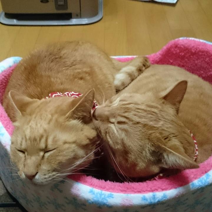 93563d1d b94f 486d bc45 cb808259d17c